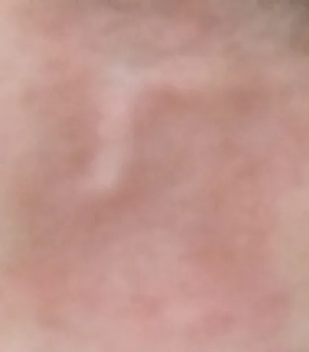 Archived external image