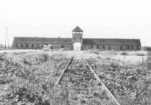 Archived external image