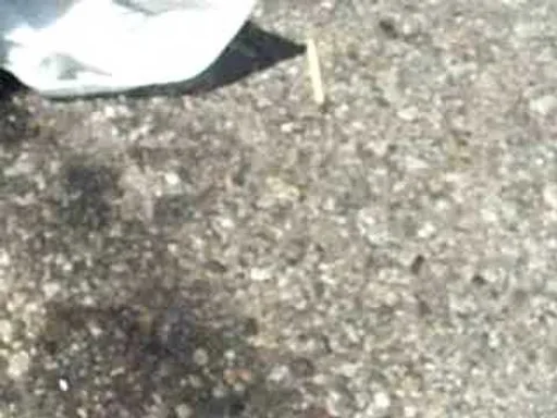 Archived external image