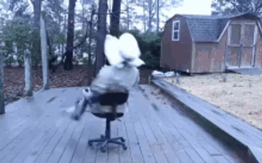 Archived external image 2