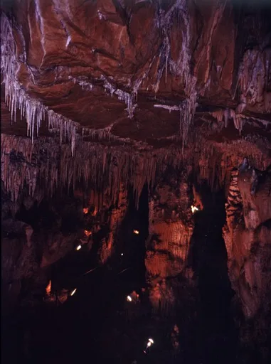 Archived external image
