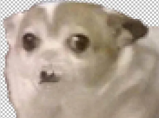 Archived external image