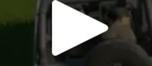 Archived external image