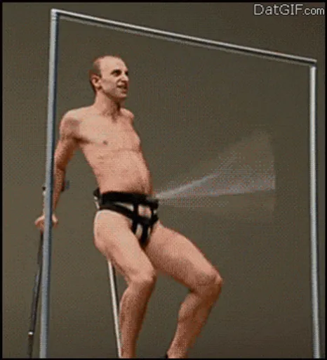 Archived external image