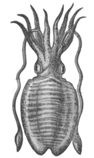 Archived external image