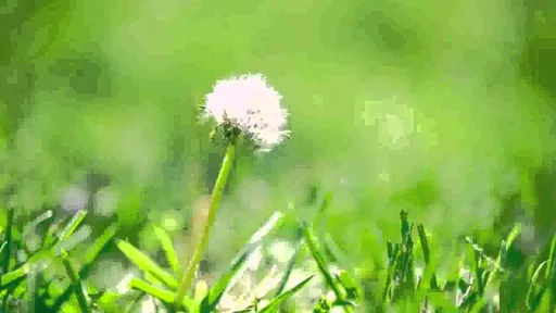 Archived external image