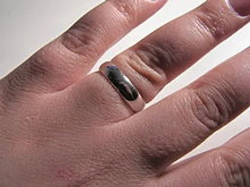 Archived external image