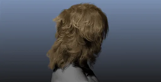 Archived external image