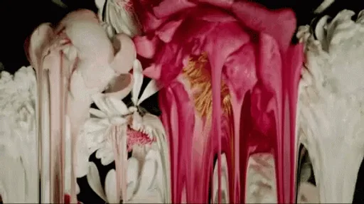Archived external image