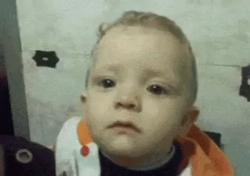 Archived external image