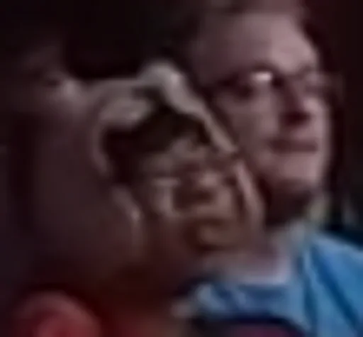 Archived external image