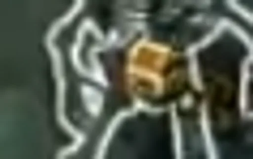 Archived external image