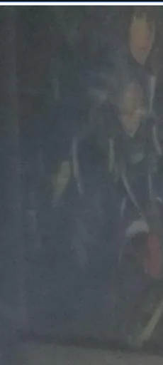 Archived external image