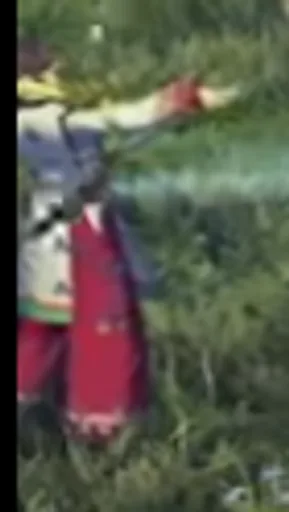 Archived external image