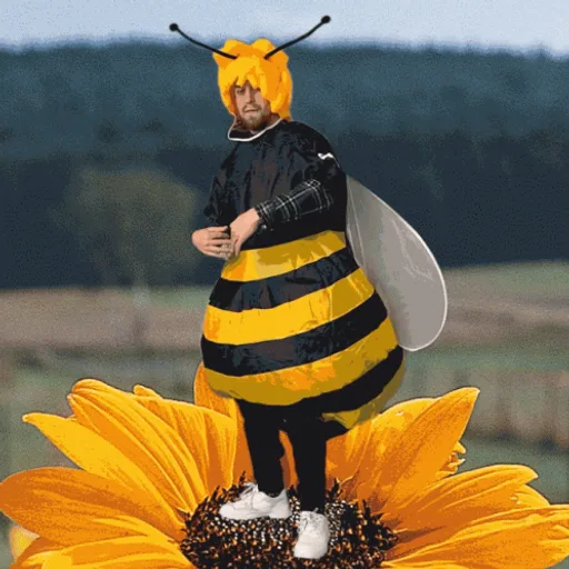 Archived external image
