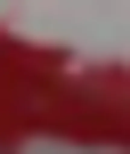 Archived external image