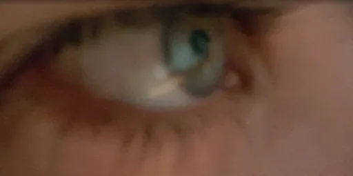 Archived external image