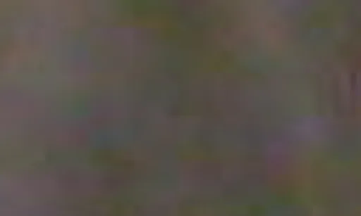Archived external image