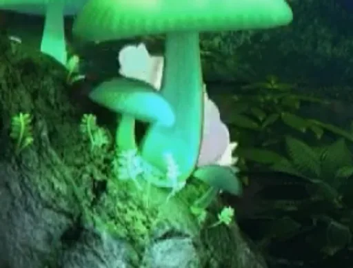 Archived external image