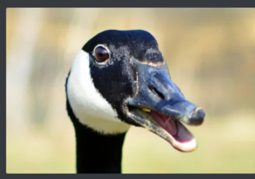 Archived external image