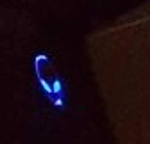 Archived external image