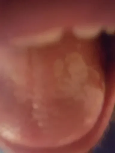 20190528_221731.jpg