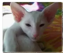 unknown.png