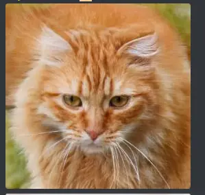 unknown.png