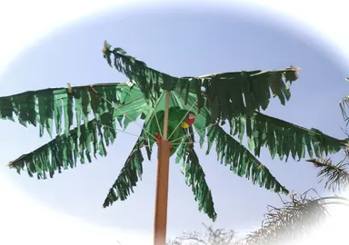 img_02891.png
