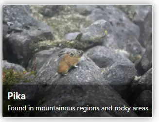 unknown.png