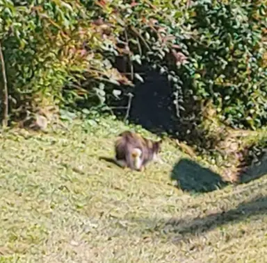 20211003_135656_HDR.jpg