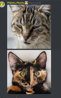 unknown.png