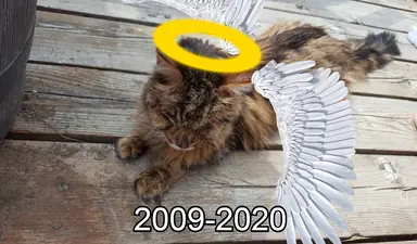 unknown.png