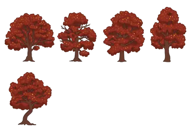 1.png
