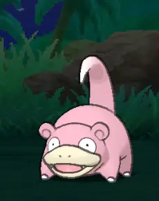 image-92.png
