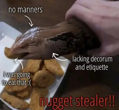 GHxuer-WgAAcs17.png