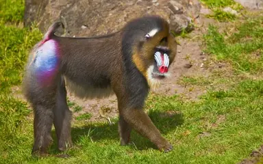 unknown.png