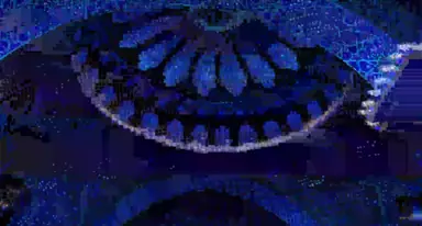 unknown.png