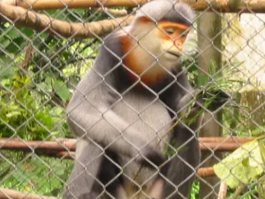 unknown.png