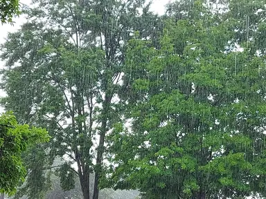20210629_155456.jpg