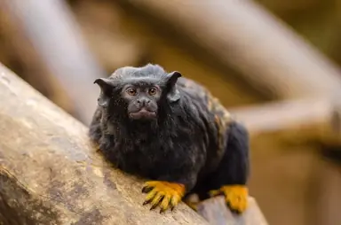 unknown.png