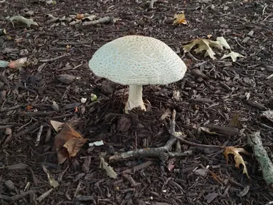 20240904_192822.jpg