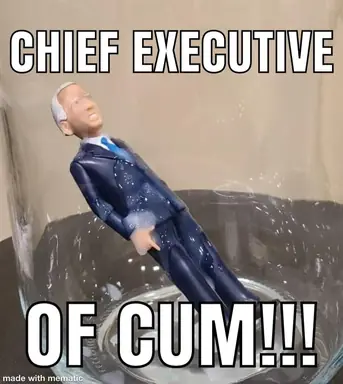 chief-executive-of-cum-memes-72eaec32b9acc6f5-e4424e7bdb92417c.png