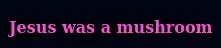 unknown.png