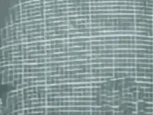 image0.gif