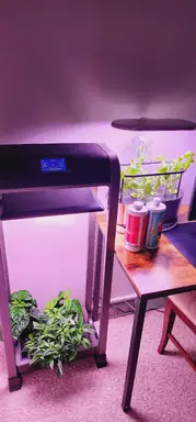 20230714_111639.jpg
