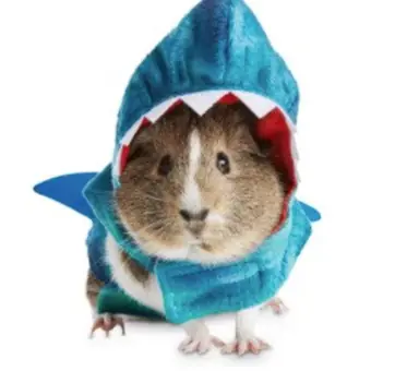 TWWTJKIUFRGNRBNF46Q3PMW62Q.png