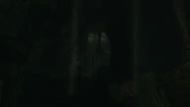 0VFgDSR.png
