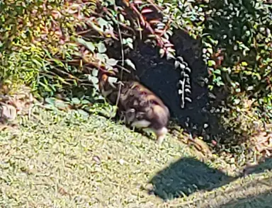 20211003_135706_HDR.jpg