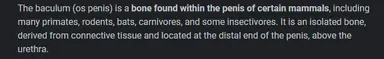 unknown.png
